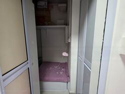 Evergreen Park (D19), Apartment #455750441